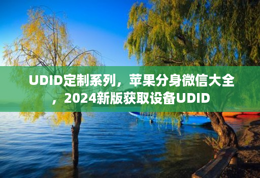 UDID定制系列,苹果分身微信大全,2024新版获取设备UDID  UDID定制系列,苹果分身微信大全,2024新版获取设备UDID