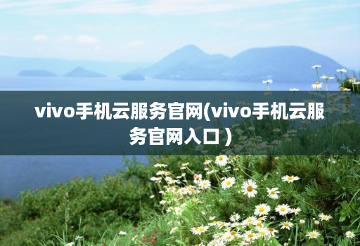 vivo手机云服务官网(vivo手机云服务官网入口 )