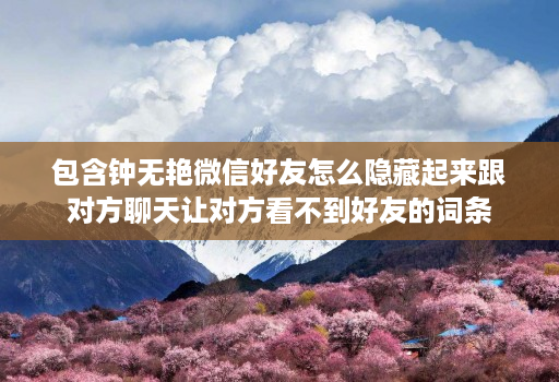 包含钟无艳微信好友怎么隐藏起来跟对方聊天让对方看不到好友的词条
