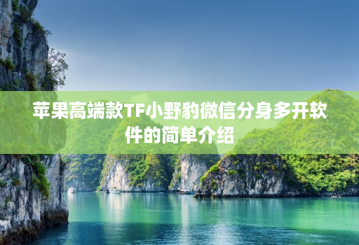 苹果高端款TF小野豹微信分身多开软件的简单介绍