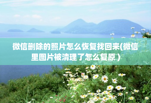 微信删除的照片怎么恢复找回来(微信里图片被清理了怎么复原 )