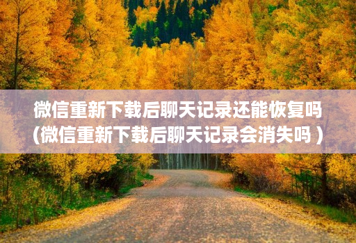 微信重新下载后聊天记录还能恢复吗(微信重新下载后聊天记录会消失吗 )