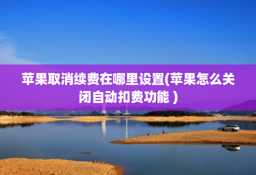 苹果取消续费在哪里设置(苹果怎么关闭自动扣费功能 )