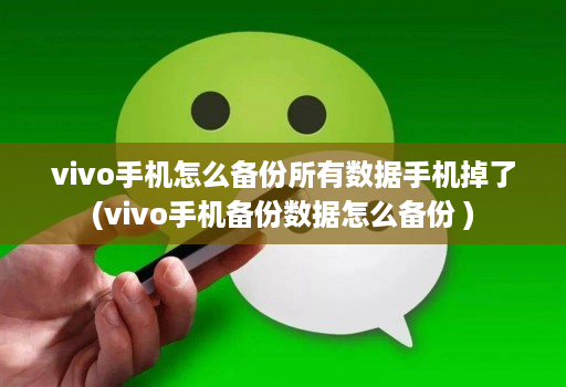 vivo手机怎么备份所有数据手机掉了(vivo手机备份数据怎么备份 )