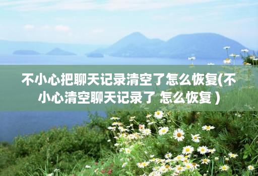 不小心把聊天记录清空了怎么恢复(不小心清空聊天记录了 怎么恢复 )