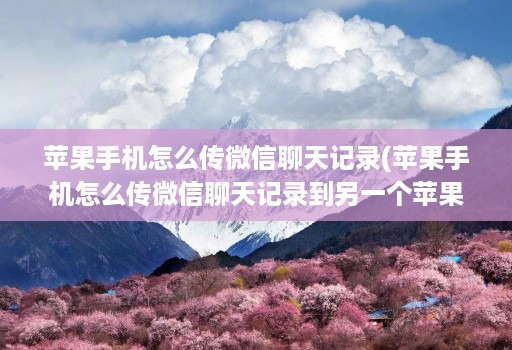 苹果手机怎么传微信聊天记录(苹果手机怎么传微信聊天记录到另一个苹果手机 )