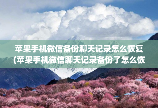 苹果手机微信备份聊天记录怎么恢复(苹果手机微信聊天记录备份了怎么恢复 ) 苹果手机微信备份聊天记录怎么恢复(苹果手机微信聊天记录备份了怎么恢复 )