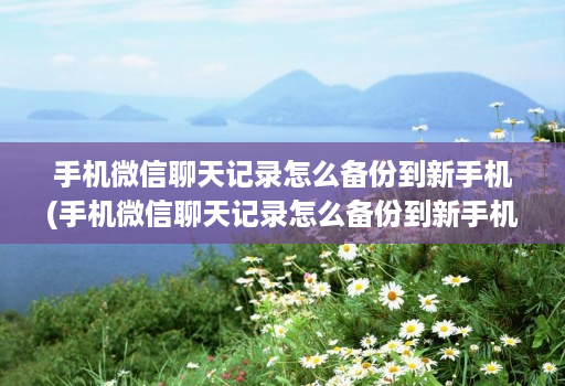 手机微信聊天记录怎么备份到新手机(手机微信聊天记录怎么备份到新手机上 )