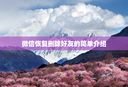 微信恢复删除好友的简单介绍