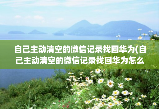 自己主动清空的微信记录找回华为(自己主动清空的微信记录找回华为怎么恢复 )