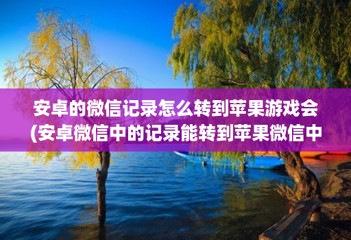 安卓的微信记录怎么转到苹果游戏会(安卓微信中的记录能转到苹果微信中吗 )