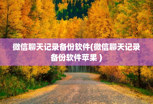 微信聊天记录备份软件(微信聊天记录备份软件苹果 )