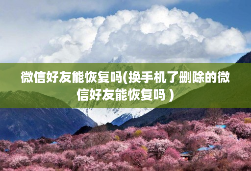 微信好友能恢复吗(换手机了删除的微信好友能恢复吗 )