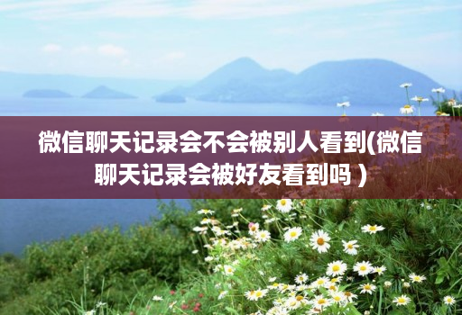 微信聊天记录会不会被别人看到(微信聊天记录会被好友看到吗 ) 微信聊天记录会不会被别人看到(微信聊天记录会被好友看到吗 )
