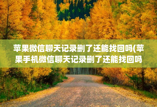 苹果微信聊天记录删了还能找回吗(苹果手机微信聊天记录删了还能找回吗 )