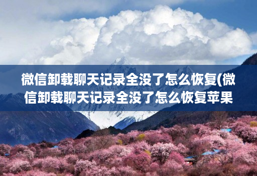 微信卸载聊天记录全没了怎么恢复(微信卸载聊天记录全没了怎么恢复苹果 )