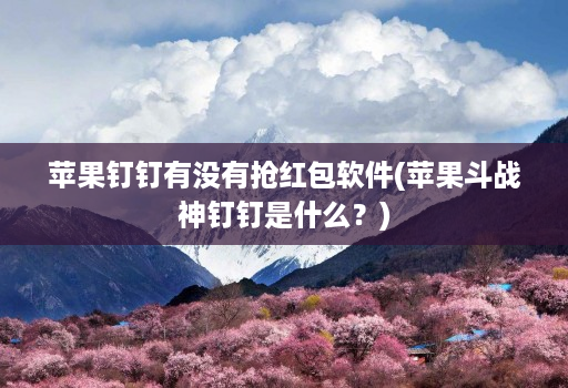 苹果钉钉有没有抢红包软件(苹果斗战神钉钉是什么?)
