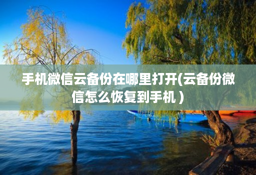 手机微信云备份在哪里打开(云备份微信怎么恢复到手机 )