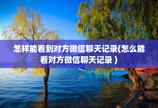 怎样能看到对方微信聊天记录(怎么能看对方微信聊天记录 )