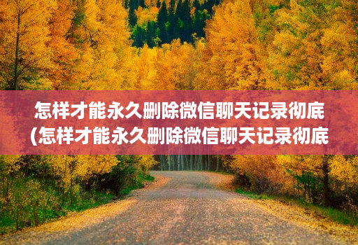 怎样才能永久删除微信聊天记录彻底(怎样才能永久删除微信聊天记录彻底恢复 )