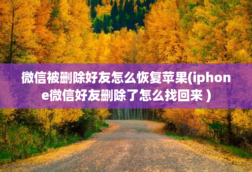 微信被删除好友怎么恢复苹果(iphone微信好友删除了怎么找回来 )