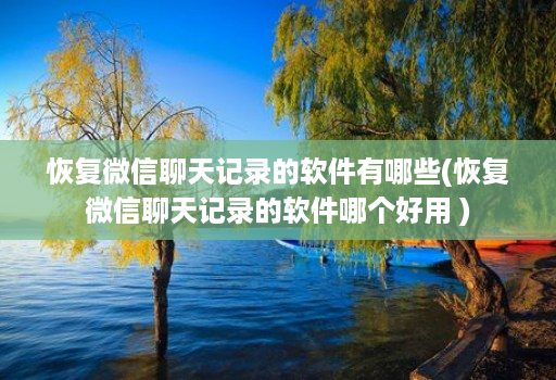 恢复微信聊天记录的软件有哪些(恢复微信聊天记录的软件哪个好用 )