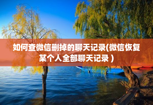 如何查微信删掉的聊天记录(微信恢复某个人全部聊天记录 )