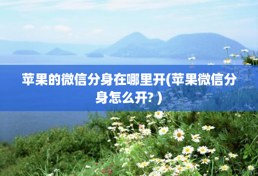 苹果的微信分身在哪里开(苹果微信分身怎么开? )