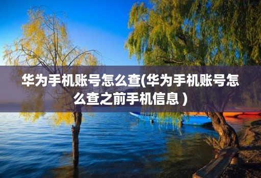 华为手机账号怎么查(华为手机账号怎么查之前手机信息 )