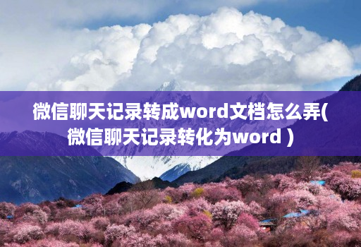 微信聊天记录转成word文档怎么弄(微信聊天记录转化为word )