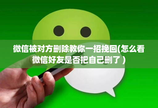 微信被对方删除教你一招挽回(怎么看微信好友是否把自己删了 )