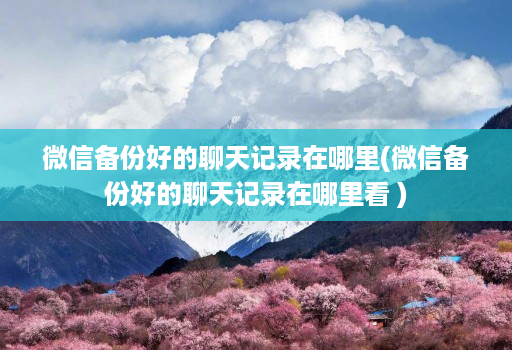 微信备份好的聊天记录在哪里(微信备份好的聊天记录在哪里看 )