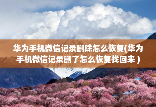 华为手机微信记录删除怎么恢复(华为手机微信记录删了怎么恢复找回来 ) 华为手机微信记录删除怎么恢复(华为手机微信记录删了怎么恢复找回来 )