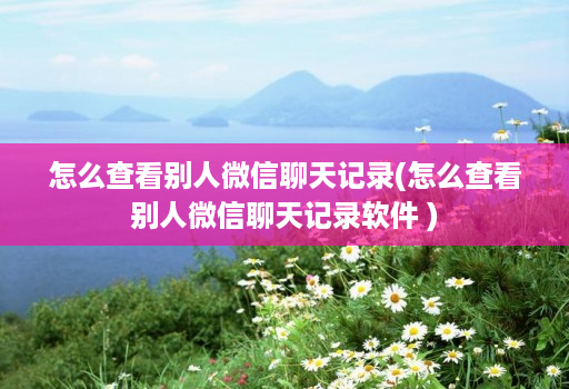 怎么查看别人微信聊天记录(怎么查看别人微信聊天记录软件 )