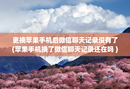 更换苹果手机后微信聊天记录没有了(苹果手机换了微信聊天记录还在吗 )