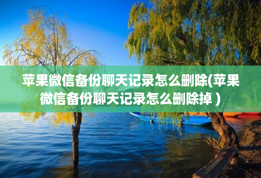 苹果微信备份聊天记录怎么删除(苹果微信备份聊天记录怎么删除掉 )