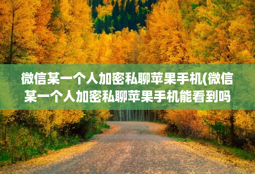 微信某一个人加密私聊苹果手机(微信某一个人加密私聊苹果手机能看到吗 )
