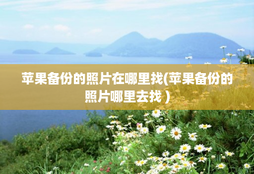 苹果备份的照片在哪里找(苹果备份的照片哪里去找 )