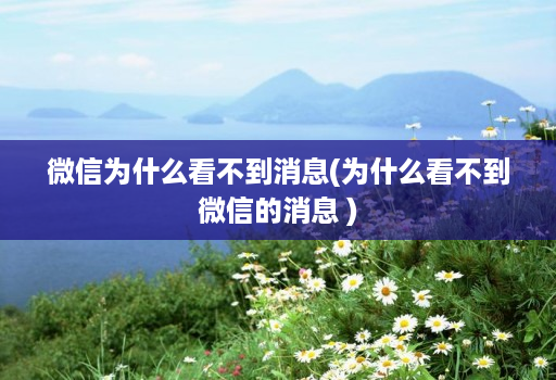 微信为什么看不到消息(为什么看不到微信的消息 )
