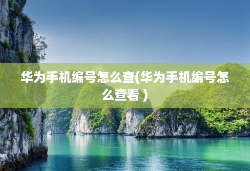 华为手机编号怎么查(华为手机编号怎么查看 )