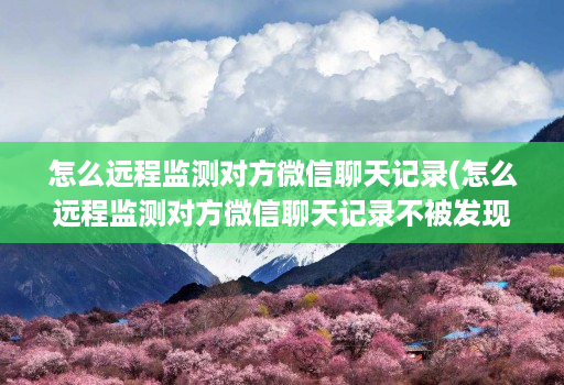 怎么远程监测对方微信聊天记录(怎么远程监测对方微信聊天记录不被发现 )