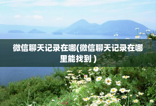微信聊天记录在哪(微信聊天记录在哪里能找到 )