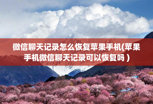微信聊天记录怎么恢复苹果手机(苹果手机微信聊天记录可以恢复吗 )