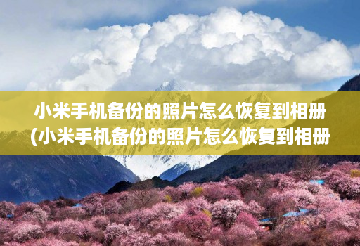 小米手机备份的照片怎么恢复到相册(小米手机备份的照片怎么恢复到相册里 )