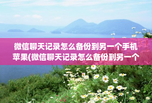 微信聊天记录怎么备份到另一个手机苹果(微信聊天记录怎么备份到另一个手机上去 ) 微信聊天记录怎么备份到另一个手机苹果(微信聊天记录怎么备份到另一个手机上去 )