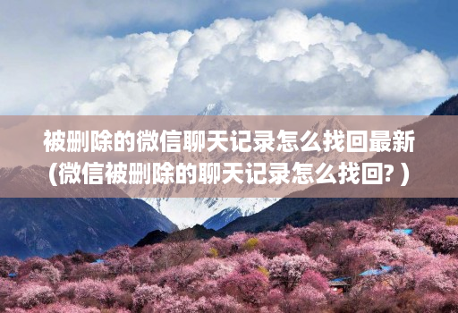 被删除的微信聊天记录怎么找回最新(微信被删除的聊天记录怎么找回? )