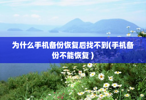 为什么手机备份恢复后找不到(手机备份不能恢复 )