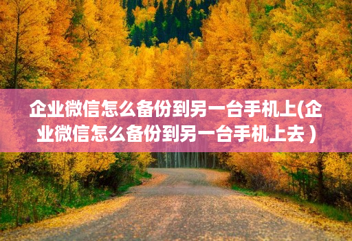 企业微信怎么备份到另一台手机上(企业微信怎么备份到另一台手机上去 )