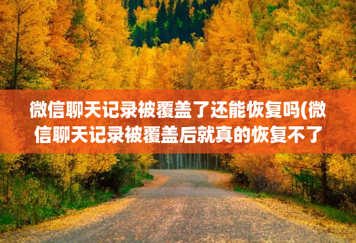 微信聊天记录被覆盖了还能恢复吗(微信聊天记录被覆盖后就真的恢复不了了吗 )