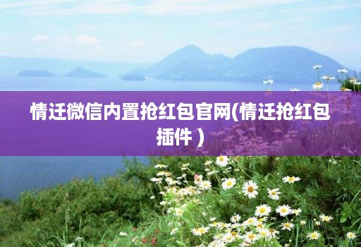 情迁微信内置抢红包官网(情迁抢红包插件 )